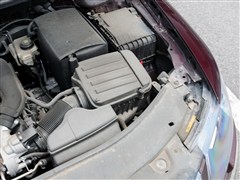 2013 1.4TSI DSGG(dng)