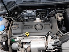 2013 1.4TSI DSGG(dng)
