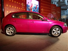 AA,AEFRV,2008 1.6L ԄӺA,܇^ĈDƬ