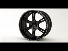 2013 6.0L (bio)(zhn)