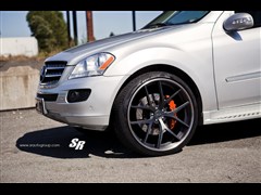 2012 ML 350 (dng)