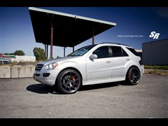 2012 ML 350 (dng)