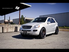 2012 ML 350 (dng)