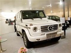 YAMG,YG(j)AMG,2009 G 55 AMG,܇^(sh)ĈDƬ