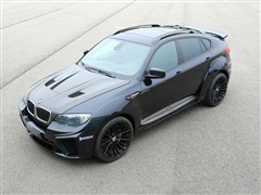 RM,RX6 M,2010 X6 M,b(sh)ĈDƬ