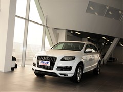 2011 3.0 TFSI g(sh)(245kW)