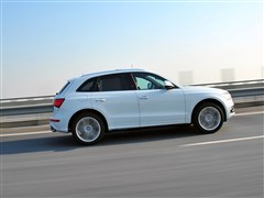 W(M),WSQ5,2014 SQ5 3.0TFSI quattro,uyĈDƬ