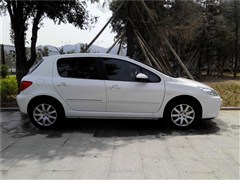 2013 Ɏ 1.6L քm
