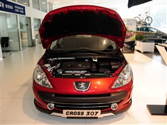 2013 1.6L ք(dng)CROSS