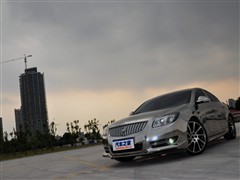 2010 2.0T A\(yn)(dng)