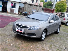 L܇,LCX30,2010 Ɏ 2.0L Ԅ(dng)A,܇^(sh)ĈDƬ