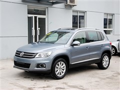 ;^ 2010 1.8TSI Ԅ(dng)(q)L(fng)а