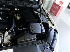 2014 1.4TSI {(ln)(q)