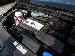 2012 2.0TSI (bio) WIV