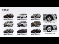 2012 2.0TSI (bio) WIV
