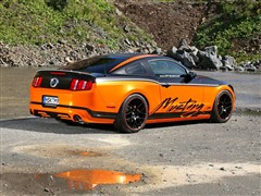(M(jn)),ҰR,2012 5.0L GTԄ(dng)A,b(sh)ĈDƬ