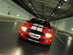 2012 GT500 ք(dng)A