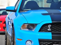 2012 GT500 ք(dng)A
