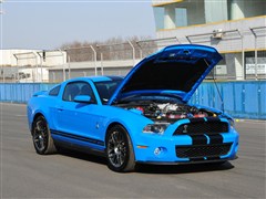 2012 GT500 ք(dng)A