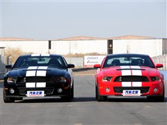 2012 GT500 ք(dng)A