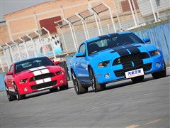 2012 GT500 ք(dng)A