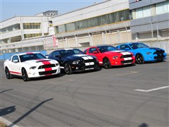 2012 GT500 ք(dng)A