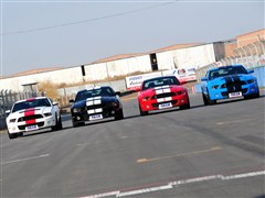 2012 GT500 ք(dng)A