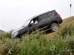 2010 460