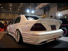 ׿_˹,׿_˹LS,2010 460L,bĈDƬ