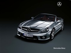 YSL(j) 2010 SL 500