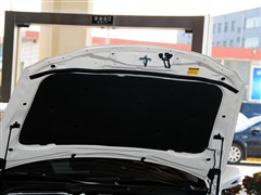 2011 250 L(fng)Y