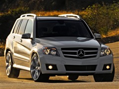 Y(M(jn)),YGLK(j)(M(jn)),2008 GLK 350 4MATIC,܇^(sh)ĈDƬ