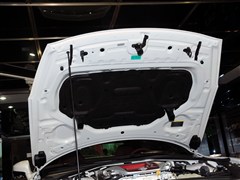 2014 3.8T Premium Edition ؼt(ni)